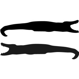 Alligator Decal Sticker V16 - DecalsHouse
