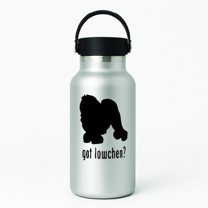 Buy Got Lowchen Dog Online