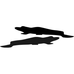 Alligator Silhouette Decal Sticker - DecalsHouse