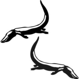 Alligator Swamp Decal Sticker - DecalsHouse