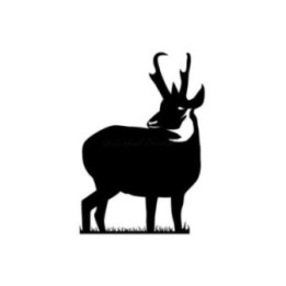Antelope Decal Sticker V12 - DecalsHouse