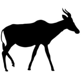 Antelope Decal Sticker V13 - DecalsHouse