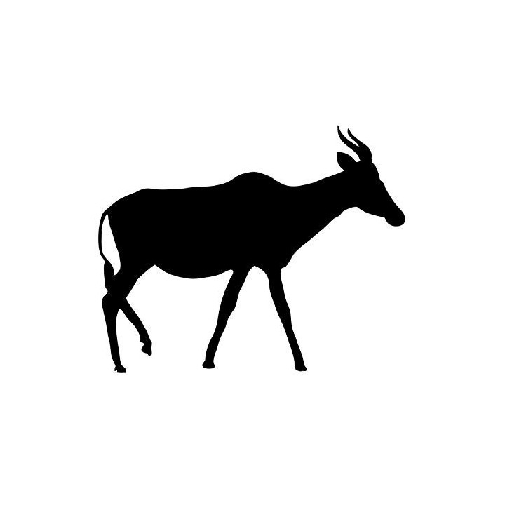 Antelope Decal Sticker V13 - DecalsHouse