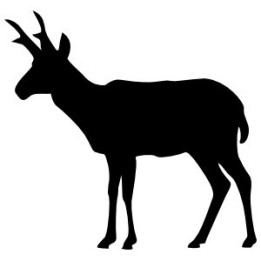 Antelope Decal Sticker V18 - DecalsHouse