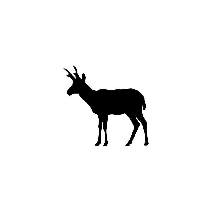 Antelope Decal Sticker V18 - DecalsHouse