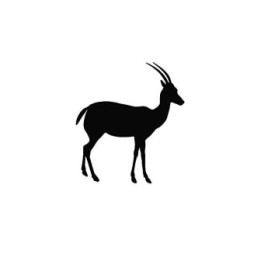 Antelope Decal Sticker V19 - DecalsHouse