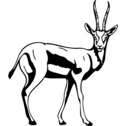 Antelope Decal Sticker V2 - DecalsHouse