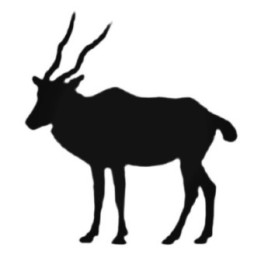 Antelope Decal Sticker V25 - DecalsHouse