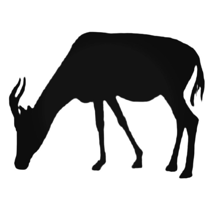 Antelope Decal Sticker V32 - DecalsHouse