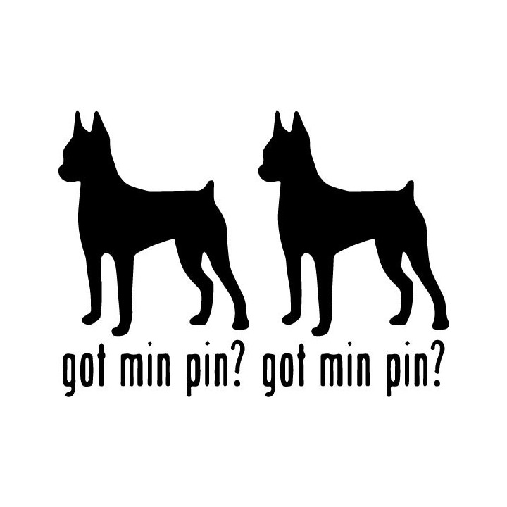 Buy Got Minature Pinscher Toy Dog Online
