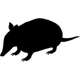 Armadillo Decal Sticker V2 - DecalsHouse