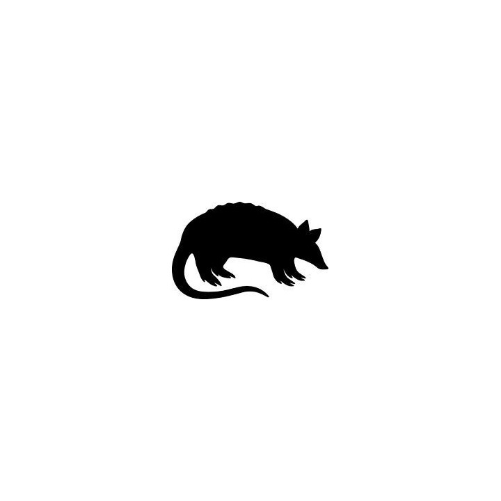 Armadillo Decal Sticker V24 - DecalsHouse