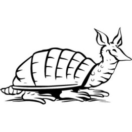 Armadillo Decal Sticker V26 - DecalsHouse