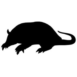 Armadillo Decal Sticker V27 - DecalsHouse