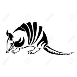 Armadillo Decal Sticker V29 - DecalsHouse