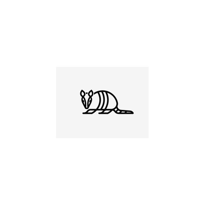 Armadillo Decal Sticker V31 - DecalsHouse