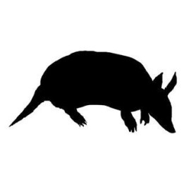 Armadillo Decal Sticker V33 - DecalsHouse