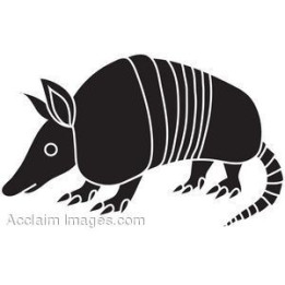 Armadillo Decal Sticker V34 - DecalsHouse