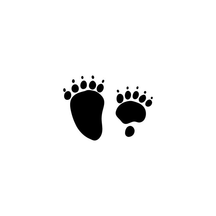Bear Prints Vinyl Decal Sticker V2 - DecalsHouse