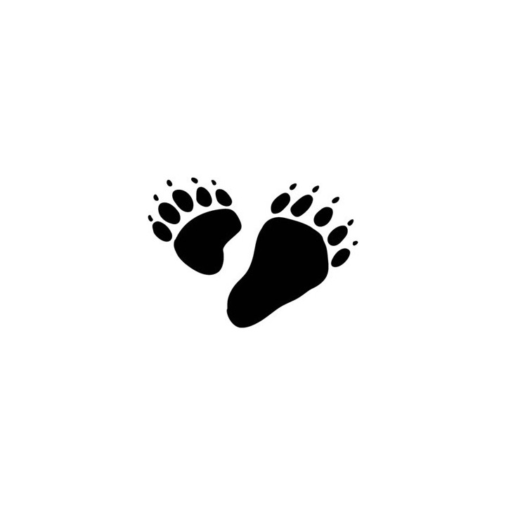 Bear Prints Vinyl Decal Sticker - DecalsHouse