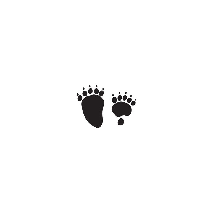 Bear Vinyl Decal Sticker V102 - DecalsHouse