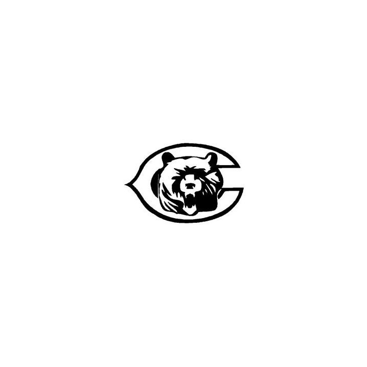 Bear Vinyl Decal Sticker V103 - DecalsHouse