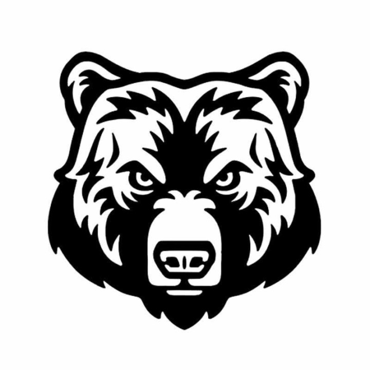 Bear Vinyl Decal Sticker V109 - DecalsHouse