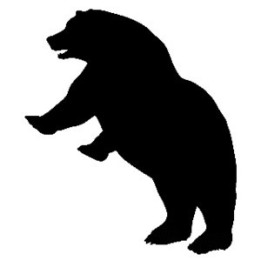 Bear Vinyl Decal Sticker V13 - DecalsHouse