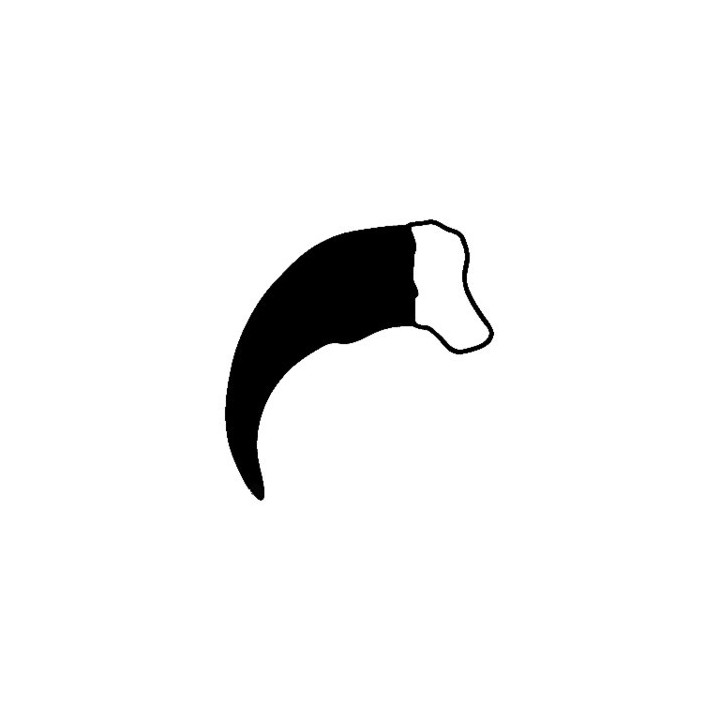 Bear Vinyl Decal Sticker V2 - DecalsHouse