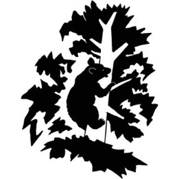 Bear Vinyl Decal Sticker V24 - DecalsHouse