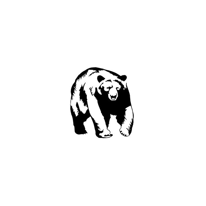 Bear Vinyl Decal Sticker V47 - DecalsHouse