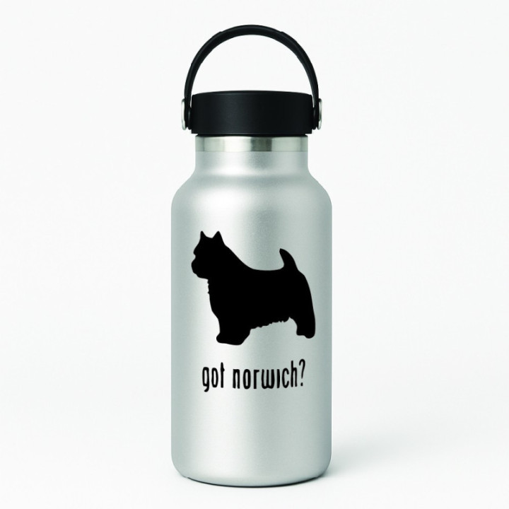 Buy Got Norwich Terrier Dog Online