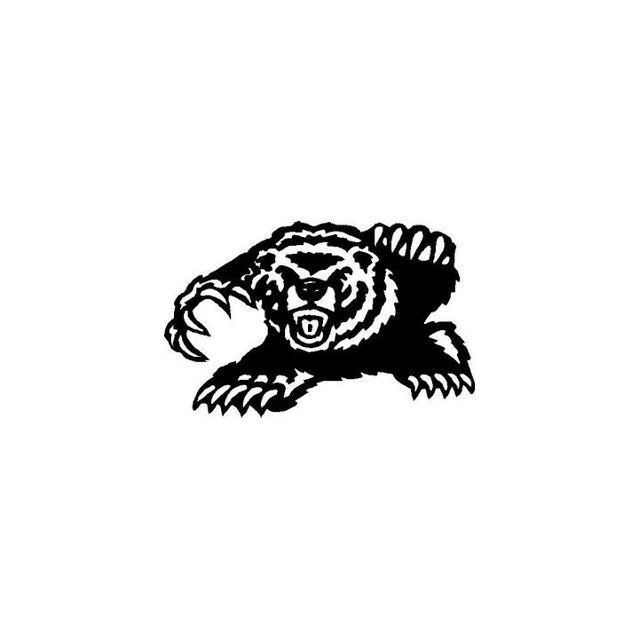 Bear Vinyl Decal Sticker V62 - DecalsHouse