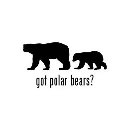 Bear Vinyl Decal Sticker V69 - DecalsHouse