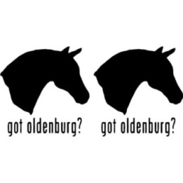 Buy Got Oldenburg Horse Online
