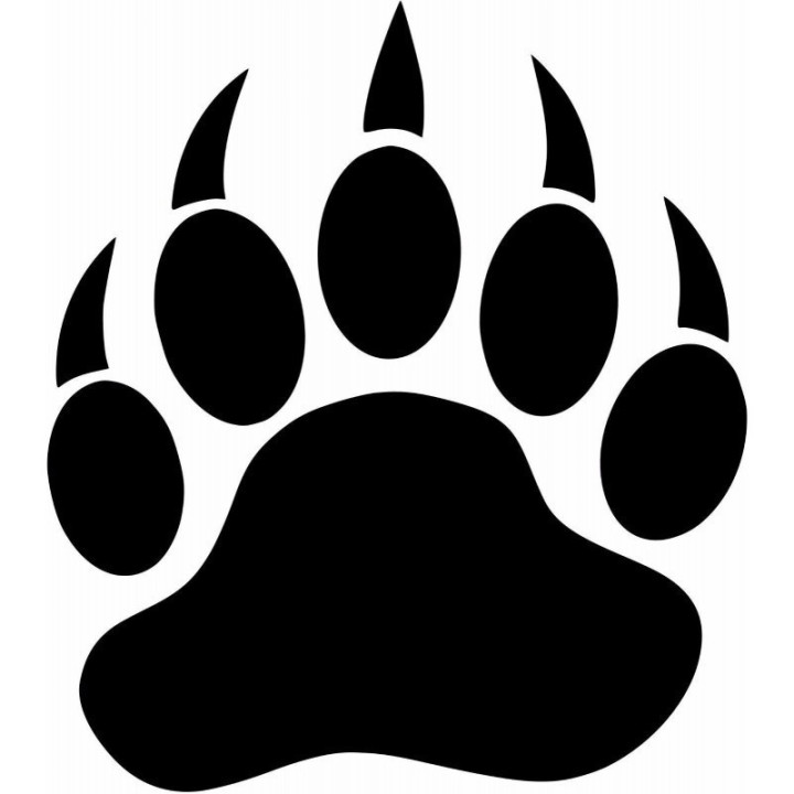 Bear Vinyl Decal Sticker V80 - DecalsHouse