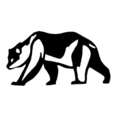 Bear Vinyl Decal Sticker V83 - DecalsHouse
