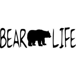 Bear Vinyl Decal Sticker V90 - DecalsHouse