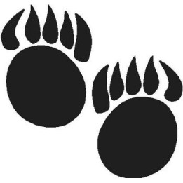 Bear Vinyl Decal Sticker V94 - DecalsHouse