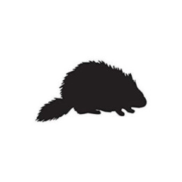 Beaver Decal Sticker V12 - DecalsHouse