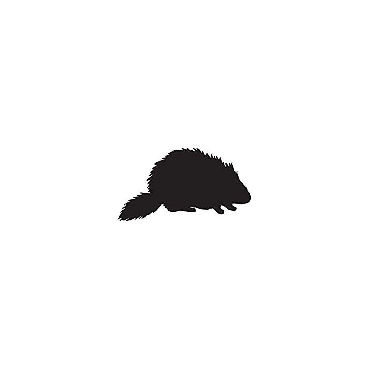 Beaver Decal Sticker V12 - DecalsHouse