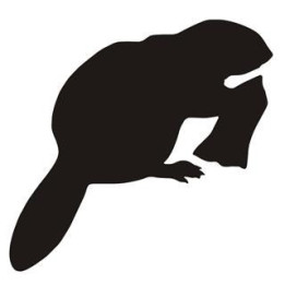 Beaver Decal Sticker V14 - DecalsHouse