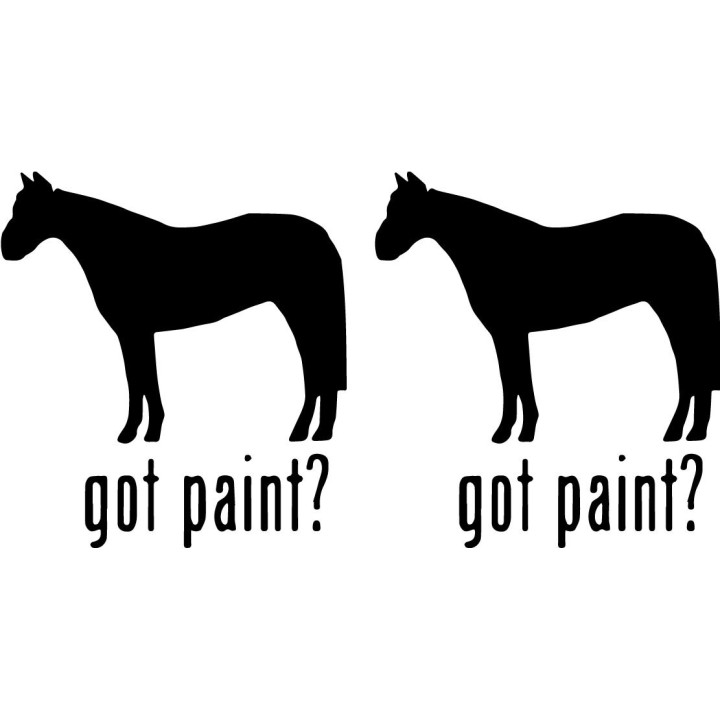 Buy Got Paint Horse Online