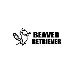 Beaver Decal Sticker V16 - DecalsHouse