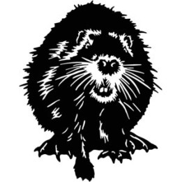 Beaver Decal Sticker V2 - DecalsHouse