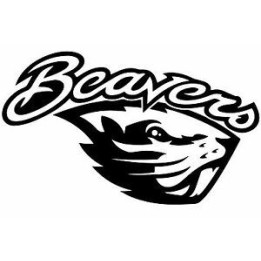 Beaver Decal Sticker V20 - DecalsHouse