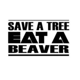 Beaver Decal Sticker V25 - DecalsHouse