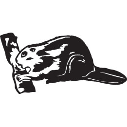 Beaver Decal Sticker V26 - DecalsHouse