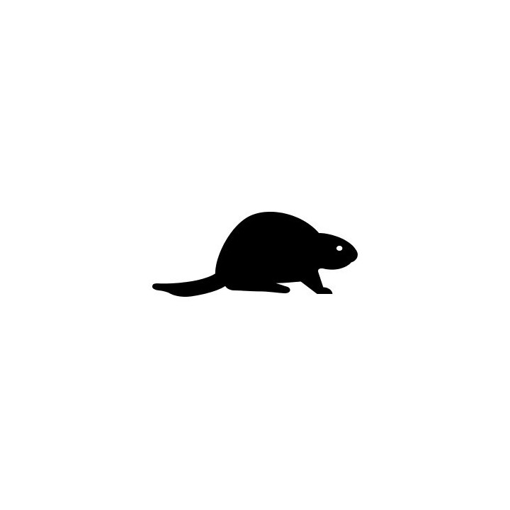 Beaver Decal Sticker V29 - DecalsHouse