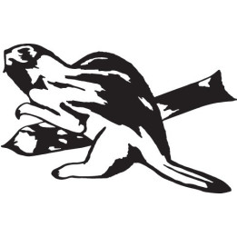 Beaver Decal Sticker V32 - DecalsHouse